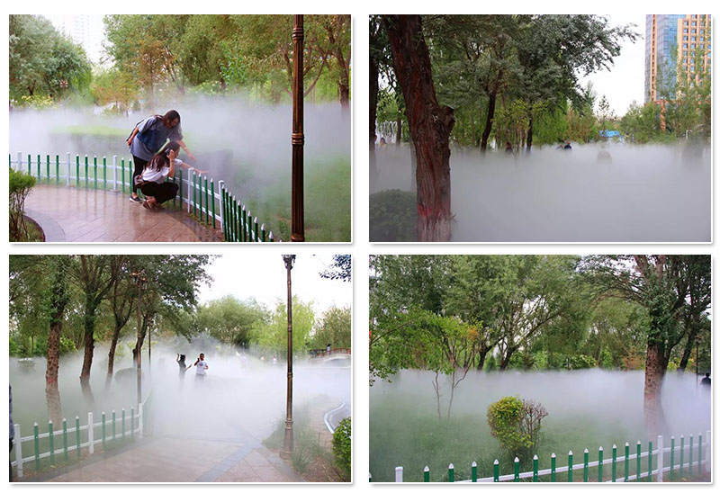 1564384882885201.jpg 3.jpg